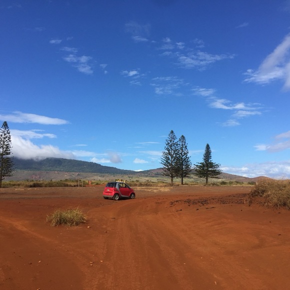 Meet your Posher, M - Picture 15 of 16